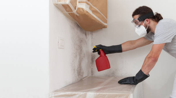 Professional Black Mold Remediation technician working in Houghton, MI